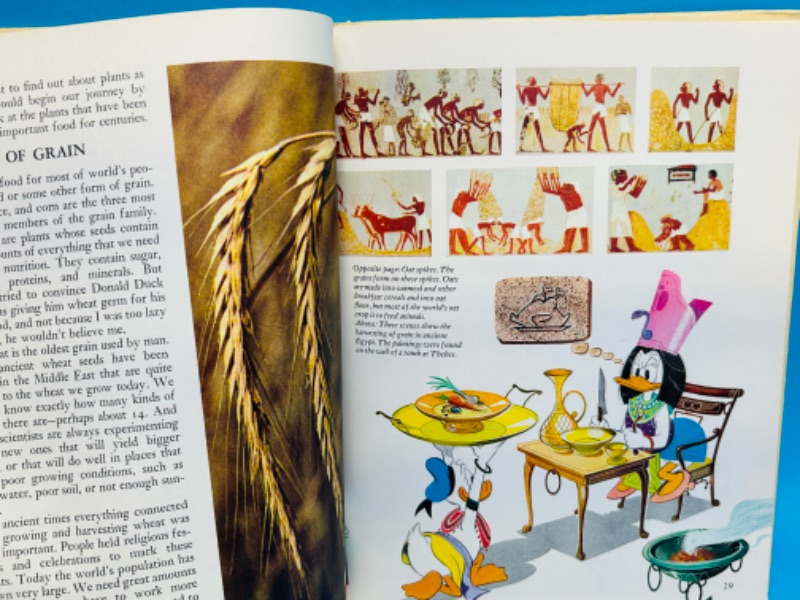 Photo 4 of 686374… vintage 1971 Disney’s wonderful world of knowledge, hardcover book -damage 