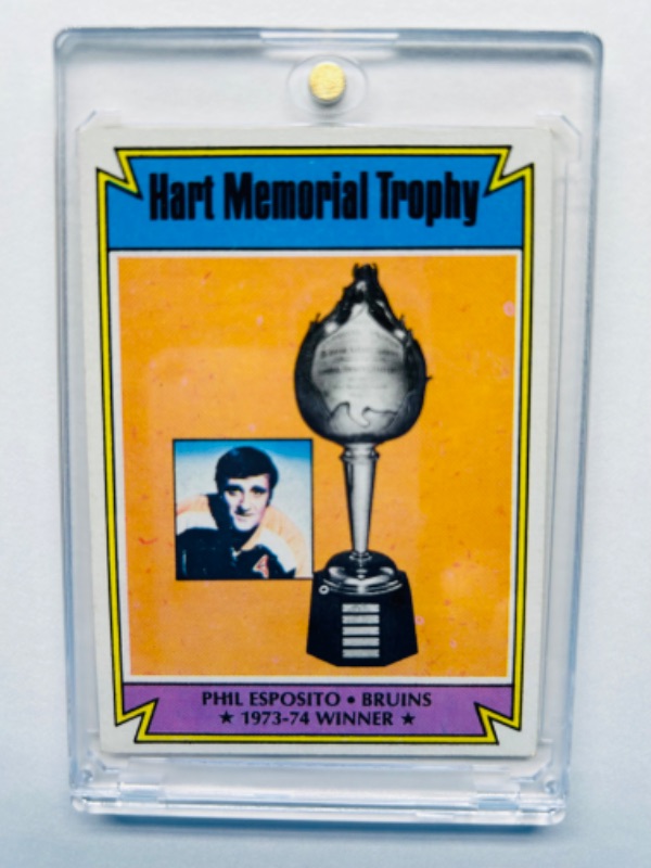 Photo 1 of 686561…1973 Phil Esposito Hart memorial trophy card 244 in hard plastic case