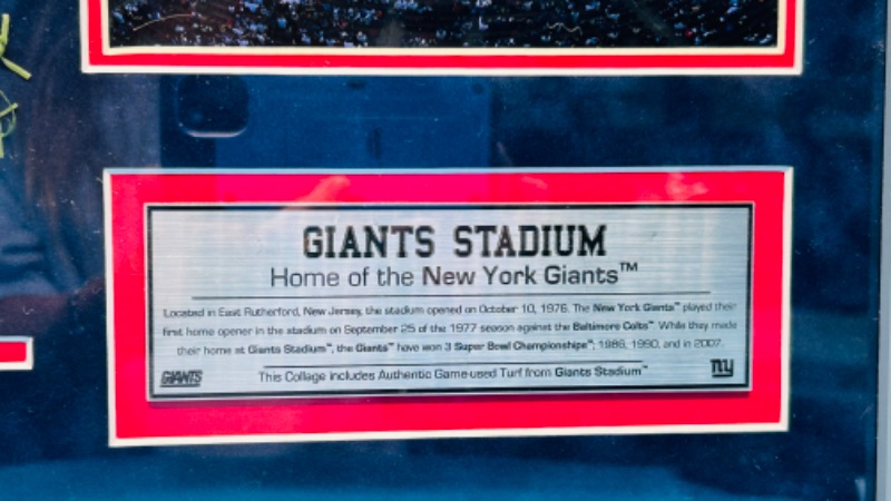 Photo 3 of 686934…Giants Stadium official game used turf 15 x 12” with COA 