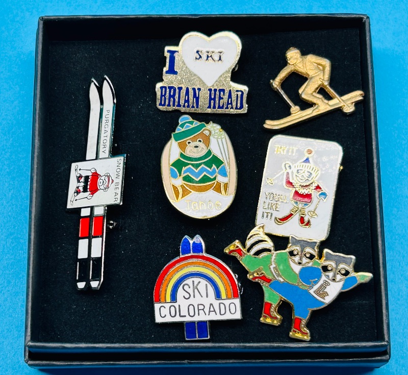 Photo 1 of 687027…vintage ski pins in gift box 