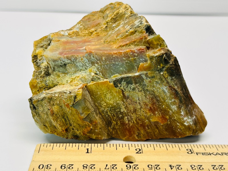 Photo 2 of 687028…4 x 2.5” petrified wood chunk 