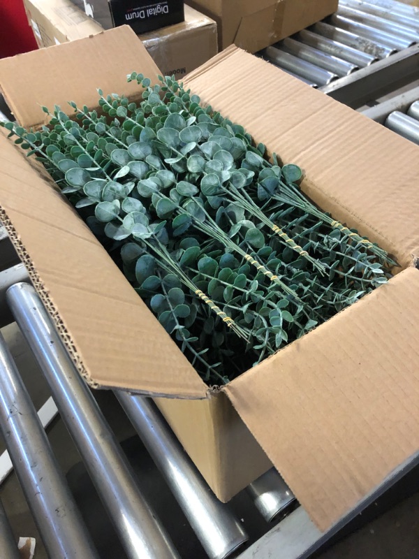 Photo 2 of 600 Pcs 3 Kinds Mixed Eucalyptus Leaves Stems Bulk Artificial Silver Dollar Eucalyptus Leaves Picks Dried Eucalyptus Bundle Faux Spray for Wedding Vase Bouquet Floral Arrangement Decor (Green) Green 600