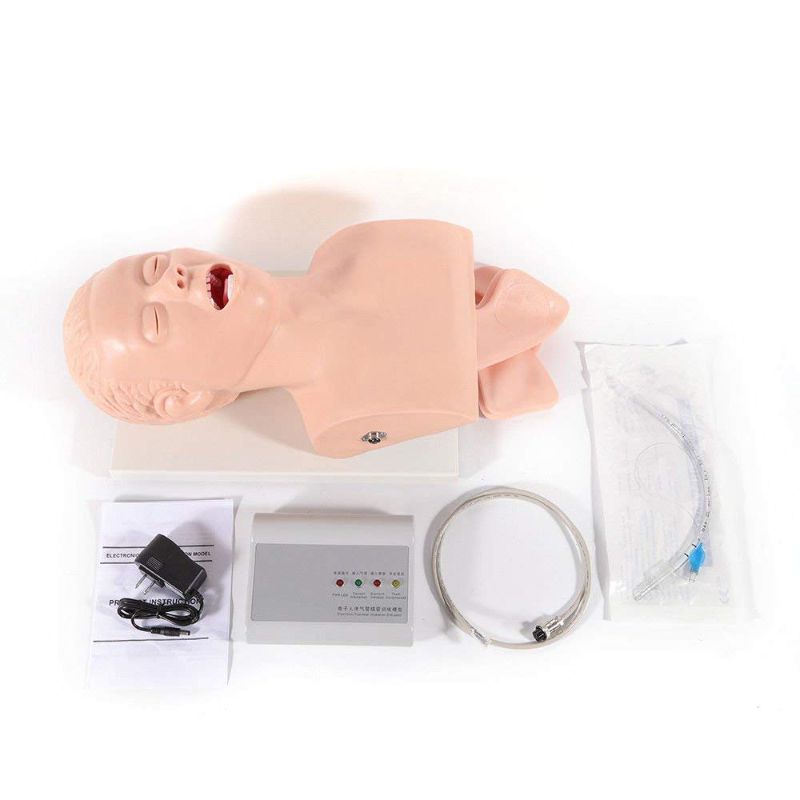 Photo 1 of 220V Intubation Manikin Study Teaching Model Airway Management Trainer Intubation Manikin Study Tracheal Simulator
