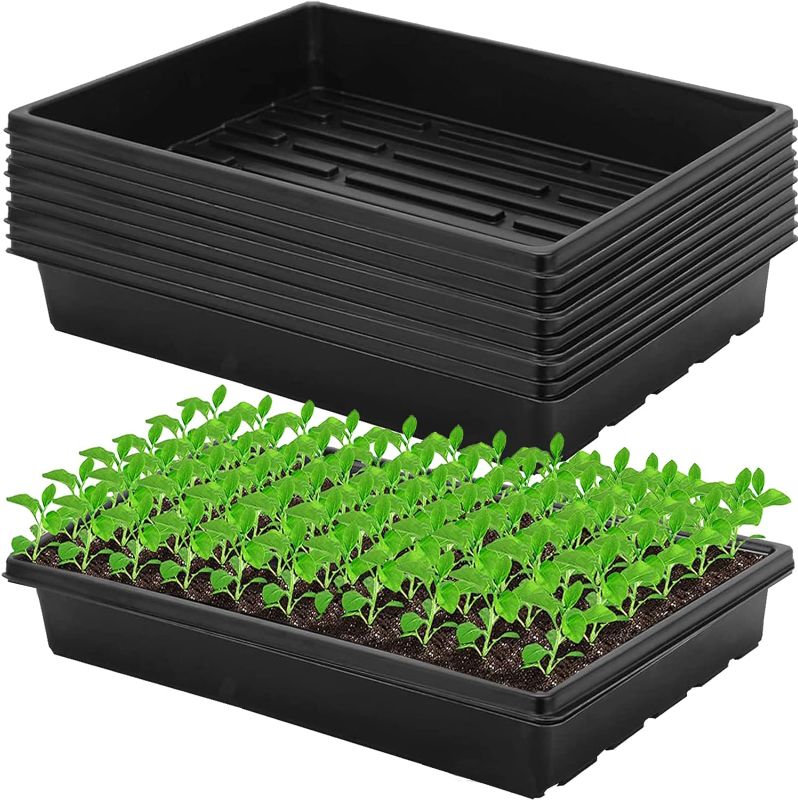 Photo 1 of 10 Plant Growing Trays (No Drain Holes) - 20" x 10" - Perfect Garden Seed Starter Grow Trays: for Seedlings, Indoor Gardening, Growing Microgreens, Wheatgrass & More - Soil or Hydroponic