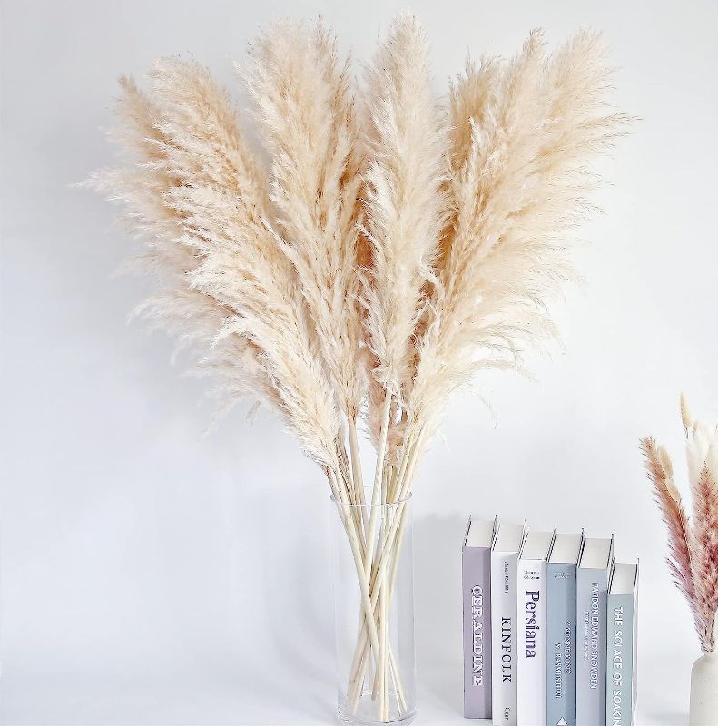 Photo 1 of 40" inch 10 Stems Natural Pampas Grass Decor Tall, pompas Grass, Tall Pampas Grass for Wedding, Party, Farmhouse, Boho Home Decor
