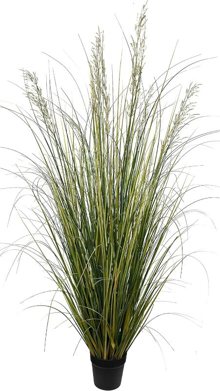 Photo 1 of AfanD Artificial Plant 6FT Tall Artificial Pampas Grass Plant,Faux Plants Indoor Home Decorative Artificial Plants & Flowers in Pot Fake Plant, House Plant Indoor
