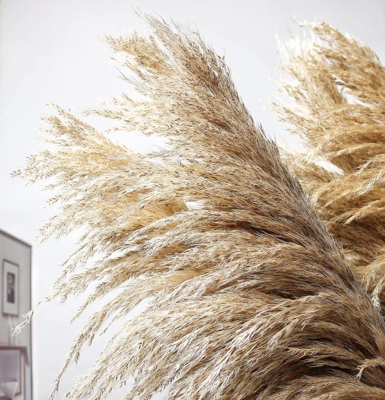 Photo 1 of 10 Stems Pampas Grass Decor Tall, Dried Plants, Natural Dried Flowers for Wedding, Natural Home Decor, Wall Grass, Glam Decor