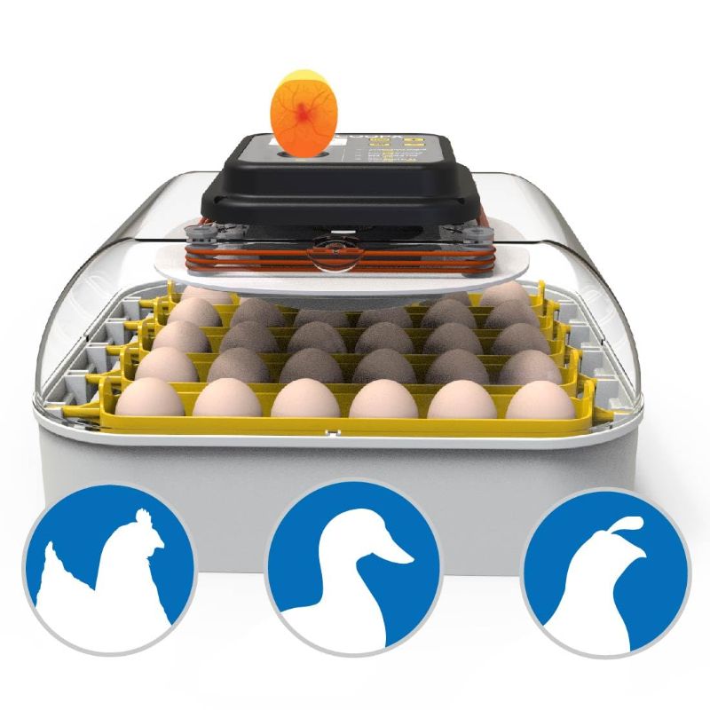 Photo 1 of 
MATICOOPX 30 Egg Incubator with Humidity Display, Egg Candler, Automatic Egg Turner, for Hatching Chickens