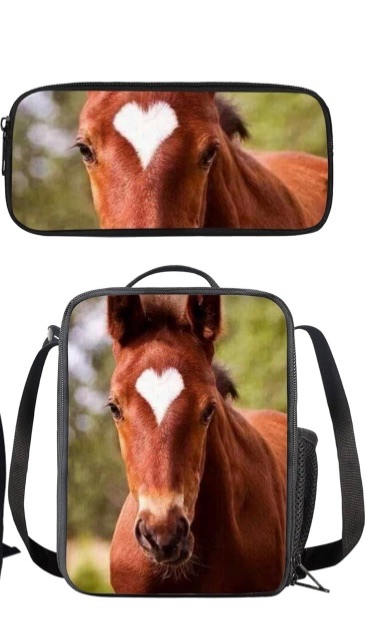 Photo 1 of SYtrade Heart Horse Backpacks Set for Girls Boys Kids Backpack with Lunch Box Lunch Bag Pencil Case Pencil Bag
