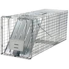 Photo 1 of ANIMAL TRAP