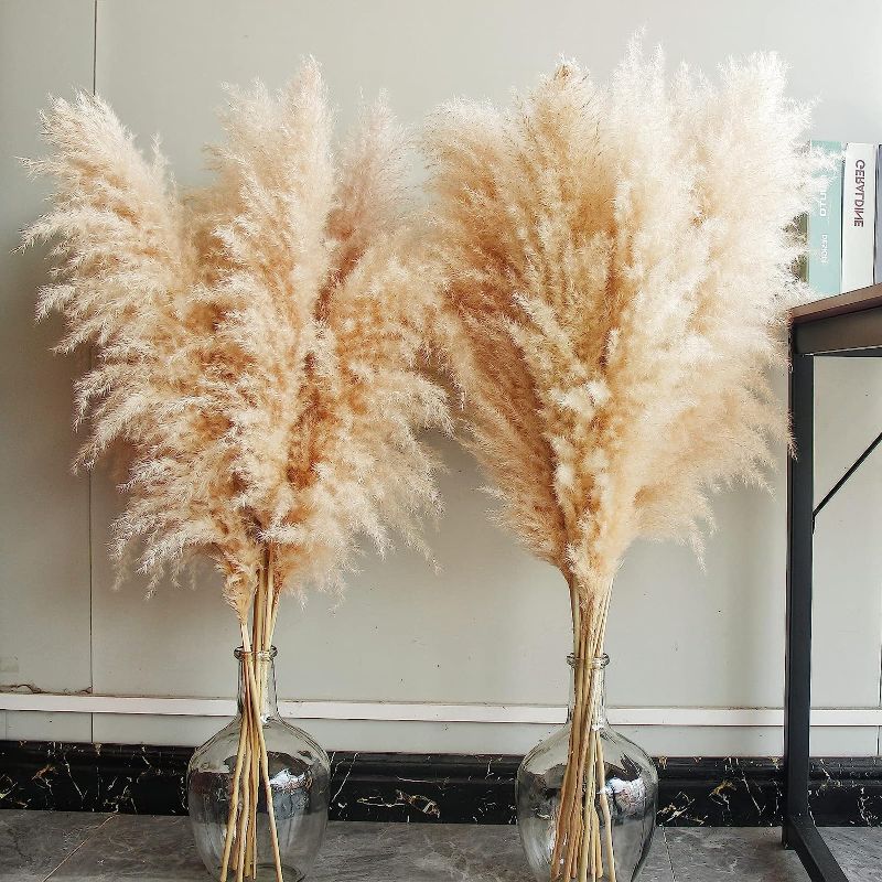 Photo 1 of  10 Stems Natural Dried Pampas Grass Decor Tall, Large and Fluffy, Pampas Grass Bulk for Farmhouse, Boho Home Decor, Wedding Floral Arrangements and Event Decor