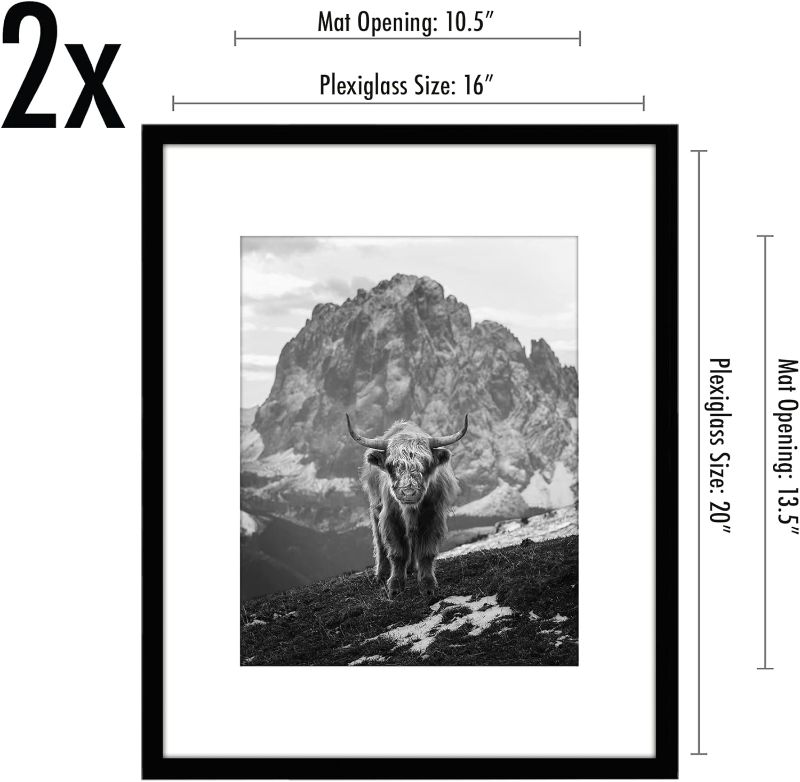 Photo 1 of Americanflat 16x20 Poster Frame in Black - Set of 2 - Use as 11x14 Picture Frame with Mat or 16x20 Frame Without Mat - Includes Sawtooth Hanging Hardware for Horizontal or Vertical Display