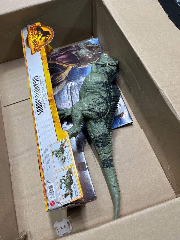 Photo 2 of Jurassic World Dominion Dinosaur Toy, Strike N Roar Giganotosaurus, Action Figure with Striking Motion and Sounds?? Frustration Free Packaging