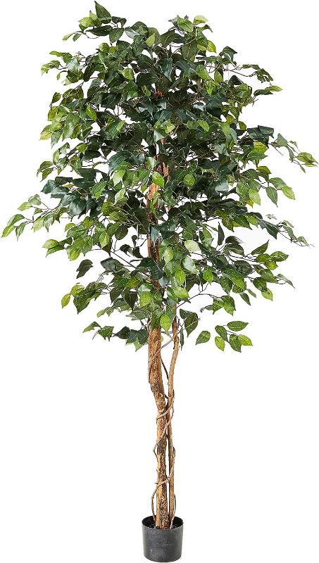 Photo 1 of 
Nearly Natural 6ft. Ficus Artificial Trees, 72in, Green