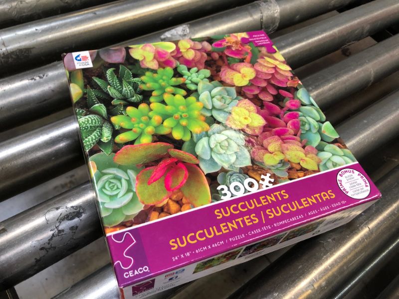 Photo 1 of Ceaco - Succulents - Bright Succulents - Oversized 300 Piece Jigsaw Puzzle