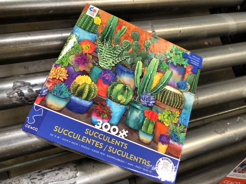 Photo 1 of Ceaco - Succulents - Succulent Synergy - Oversized 300 Piece Jigsaw Puzzle,24" x 18"