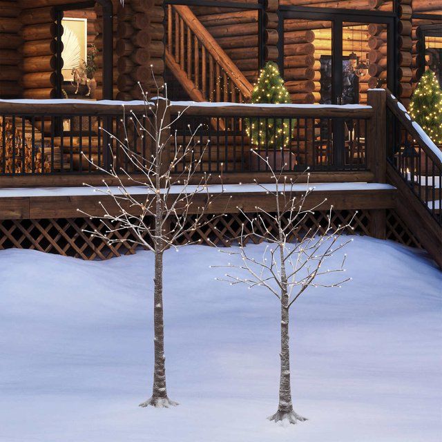 Photo 1 of Flocked LED Birch Tree, Set of 2 Add a unique look to your holiday with this set of two Flocked LED Birch Trees. Holidays, Christmas Illuminated with warm white LED lights that also include 4 different control options. These trees are a perfect addition f