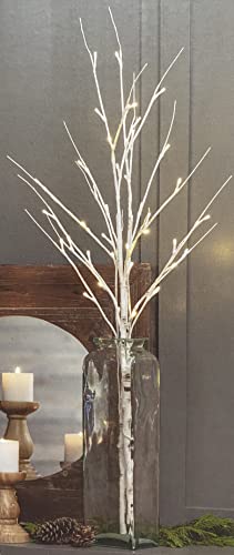 Photo 1 of Evergreen LED Birch Branch with Batteries, Pack of 2. Birch Branches is an eye-catching accent for any season. Each is studded with 20 warm white LED lights on flexible branches that offer a rustic, natural appeal. Posable Branches bend to whatever vessel