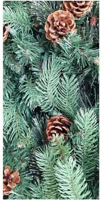 Photo 3 of KIRKLAND PRE LIT GARLAND 90 DUAL COLOR LED LIGHTS 9 FT. Set up your indoor holiday scene instantly with this Pre-Lit 9 ft. Garland with 90 Dual Color LED Lights and Pinecones. It features perfectly shaped tapered tips that are a medium green color and hav
