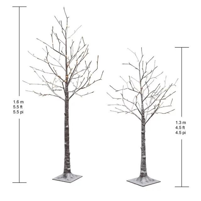 Photo 1 of Flocked LED Birch Tree, Set of 2. Flocked LED Birch Tree, Set of 2 Add a unique look to your holiday decor with this set of two Flocked LED Birch Trees. Illuminated with warm white LED lights that also include 4 different control options. These trees are 