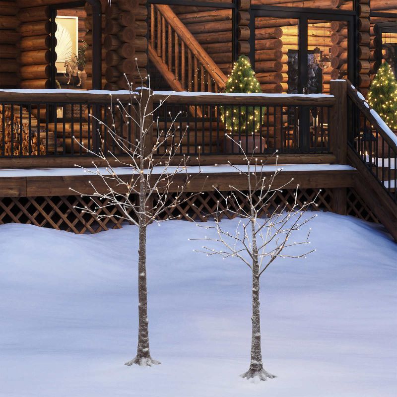 Photo 1 of Flocked LED Birch Tree, Set of 2. Flocked LED Birch Tree, Set of 2 Add a unique look to your holiday decor with this set of two Flocked LED Birch Trees. Illuminated with warm white LED lights that also include 4 different control options. These trees are 