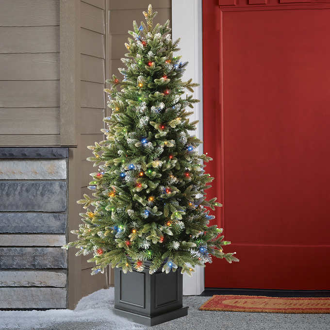 Photo 1 of 4.5' Pre-Lit Radiant Micro LED Artificial Potted Tree. 4.5' Pre-Lit Radiant Micro LED Artificial Potted Tree. A storybook Christmas awaits with this 4. 5 ft Pre-Lit Potted Aspen Artificial Christmas Tree. This tree is in a sturdy straight-type pot feature