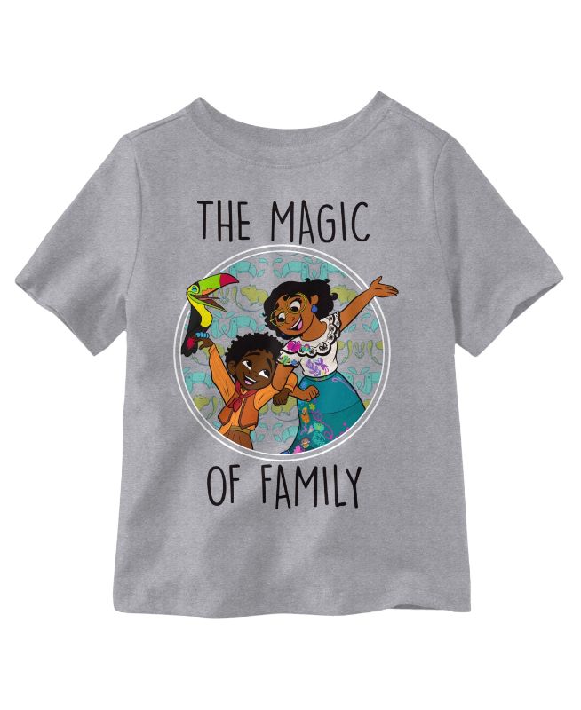 Photo 1 of SIZE KIDS 6 - Hybrid Little Boys Encanto Family Short Sleeves T-shirt - Heather Gray