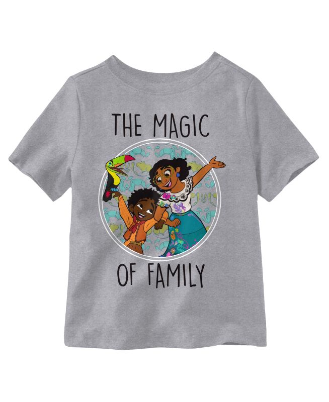 Photo 1 of Size 6 -  Little Boys Encanto Family Short Sleeves T-shirt - Heather Gray