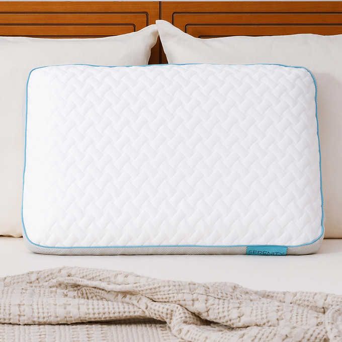 Photo 1 of Serenity by Tempur-Pedic Memory Foam Bed Pillow