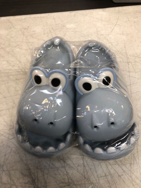 Photo 1 of  BIG KIDS CUTE DINOSAUR SLIDES
SIZE 4.5/5