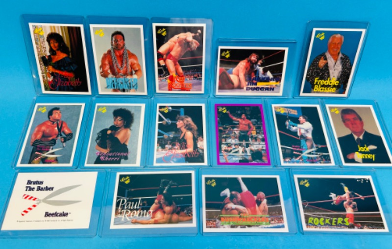 Photo 1 of 811194…15  vintage classic WWF cards in hard plastic sleeves 