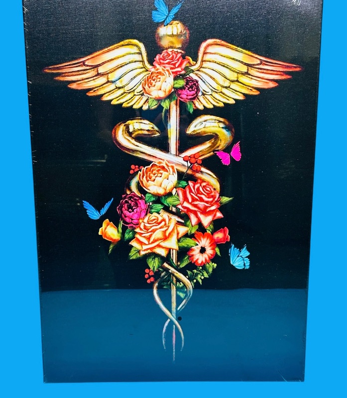 Photo 1 of 811312… 16 x 24” caduceus medical art canvas print wrapped in plastic 