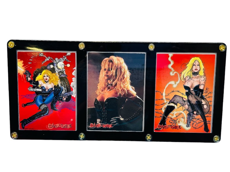 Photo 1 of 811422…3 Pam Anderson Barb Wire cards in display case