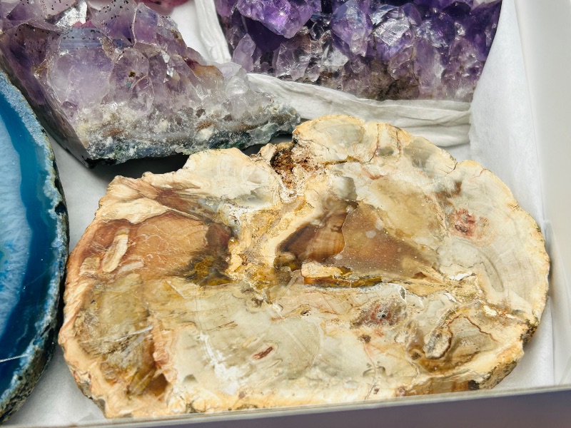Photo 1 of 812423…rock collection- amethyst, crystal, petrified wood, pyrite (fools gold), agates and more