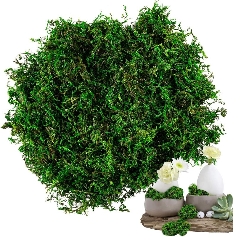 Photo 1 of Sukh Faux Moss for Potted Plants Artificial Moss for Crafts Fake Moss Decor Green Moss for Crafts Fairy Garden Plants Filler Decorative Moss Table Centerpieces Wedding Christmas Crafts Party Decor
