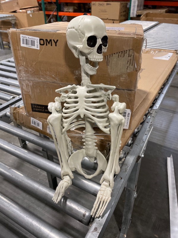 Photo 2 of 36" Skeleton Halloween Decorations, 3FT Realistic Full Body Movable Posable Joints Skeleton, Creepy Halloween Plastic Skeleton for Graveyard Decorations, Haunted House Props Indoor/Outdoor Decor