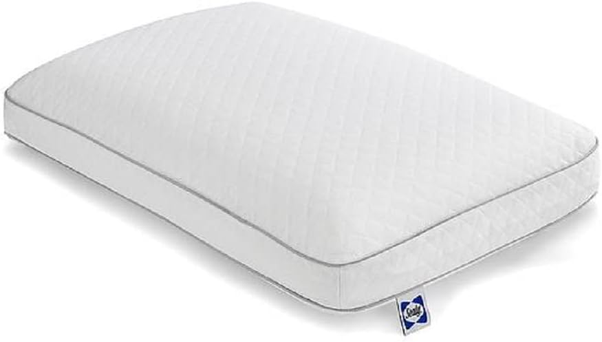 Photo 1 of  Sealy Essentials Memory Foam Bed Pillow for Pressure Relief, Adaptive Memory Foam Pillow with Washable Knit Cover, Standard, 24 x 16 in x 5 in,White