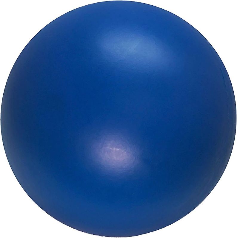Photo 1 of BLUE Virtually Indestructible Ball 10 inches