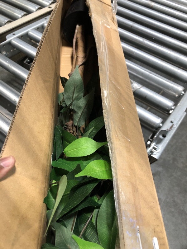 Photo 1 of SOGUYI 3ft Ficus Artificial Trees with Realistic Leaves and Trunk, Silk Fake Ficus Tree with Plastic Nursery Pot, Faux Ficus Tree for Office Home Farmhouse for Indoor Outdoor Decor(Set of 1) 1 3 feet