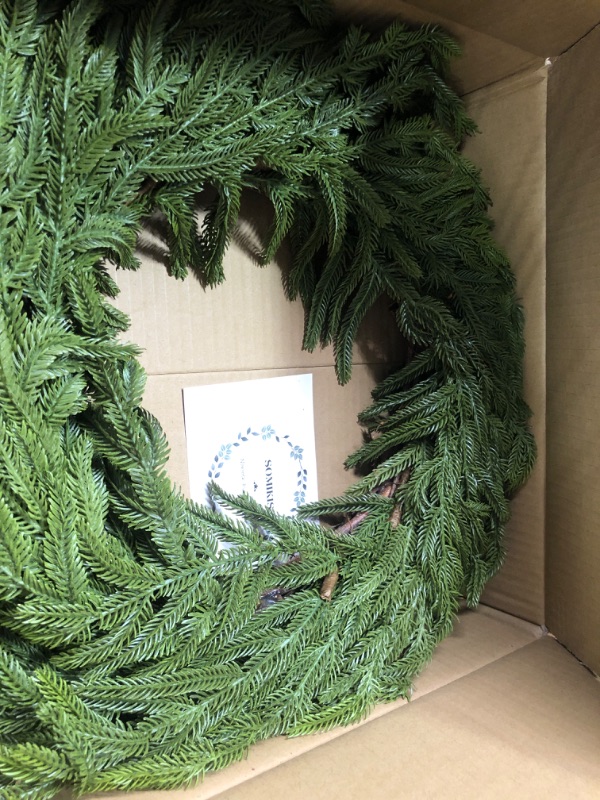Photo 2 of Afloral Real Touch Norfolk Pine Wreath - 24"