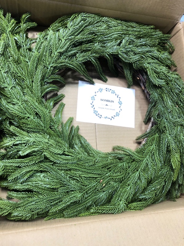 Photo 2 of Afloral Real Touch Norfolk Pine Wreath - 24"