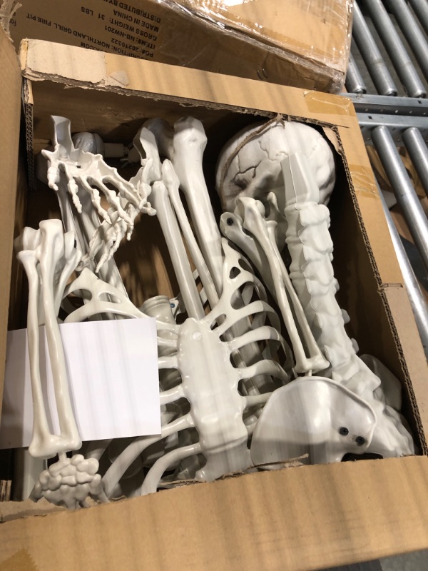 Photo 2 of 5.4ft/165cm Halloween Skeleton, Halloween Plastic Human Realistic Skeletons Life Size Full Body Bones with Movable Joints for Halloween Props Spooky Scene Party Decoration 5.4ft Halloween Skeleton