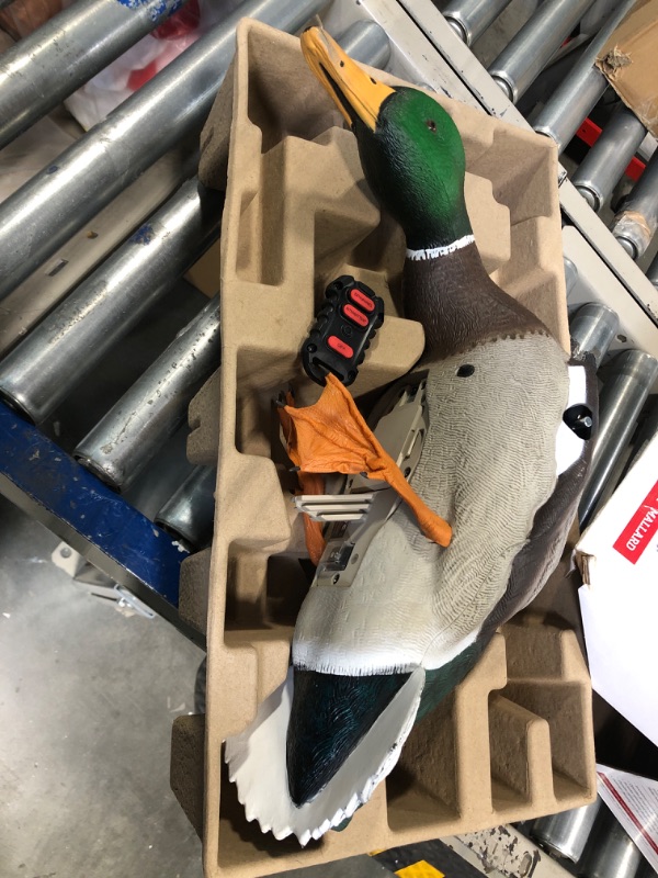 Photo 3 of Avian-X PowerFlight Mallard Decoy | Spinning Wing Duck Decoy