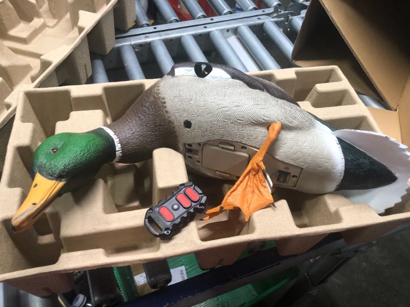 Photo 4 of Avian-X PowerFlight Mallard Decoy | Spinning Wing Duck Decoy