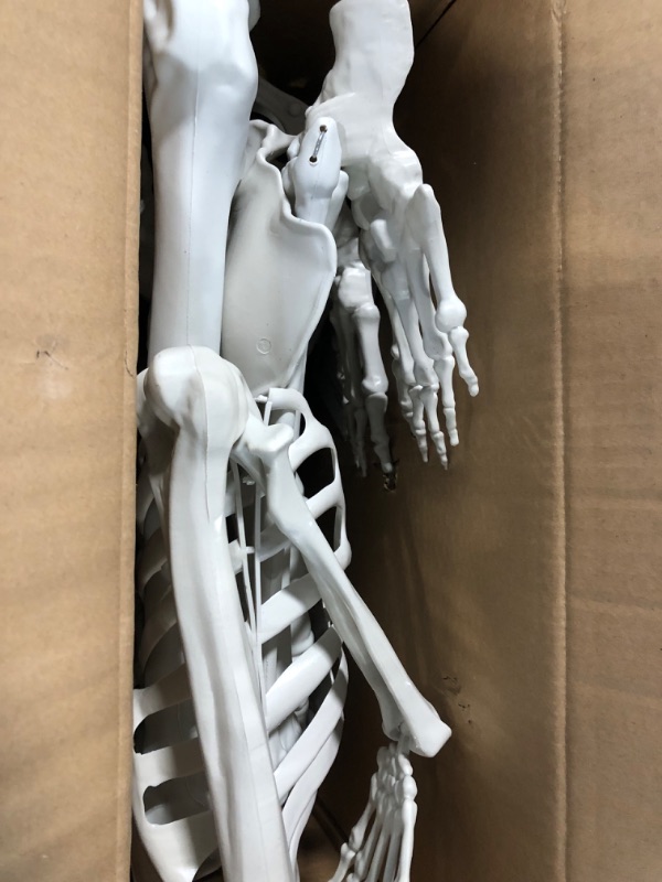 Photo 3 of 5.4ft/165cm Halloween Skeleton, Halloween Plastic Human Realistic Skeletons Life Size Full Body Bones with Movable Joints for Halloween Props Spooky Scene Party Decoration 5.4ft Halloween Skeleton