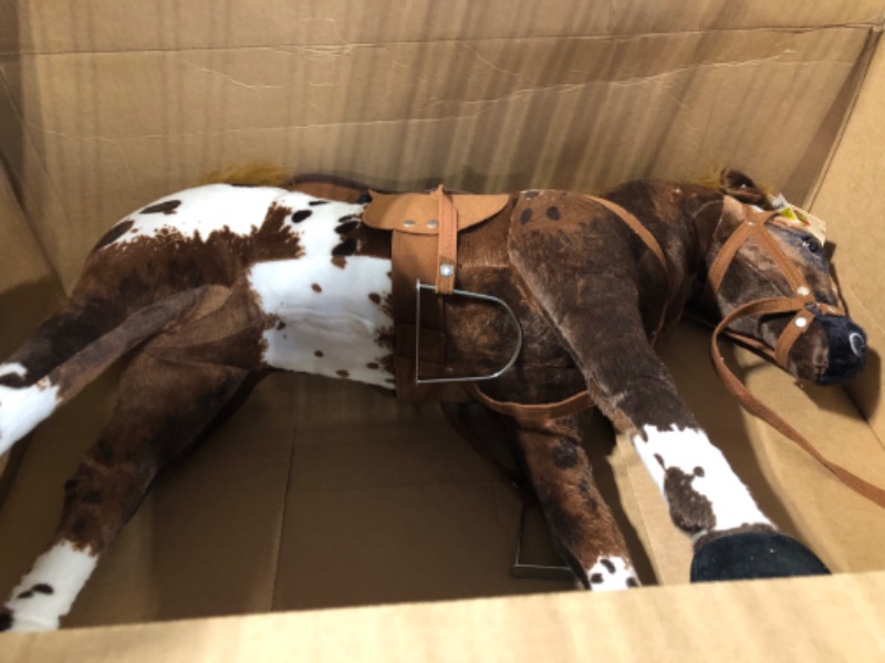 Photo 1 of Domino Stable Horse