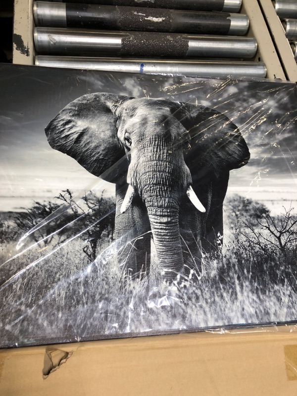 Photo 2 of ARTISTIC PATH Canvas Wall Art Elephant Picture: African Animals Graphic Artwork Painting Print for Wall Decor (24" W x 18" H,Multi-Sized) Canvas 24"x18"
