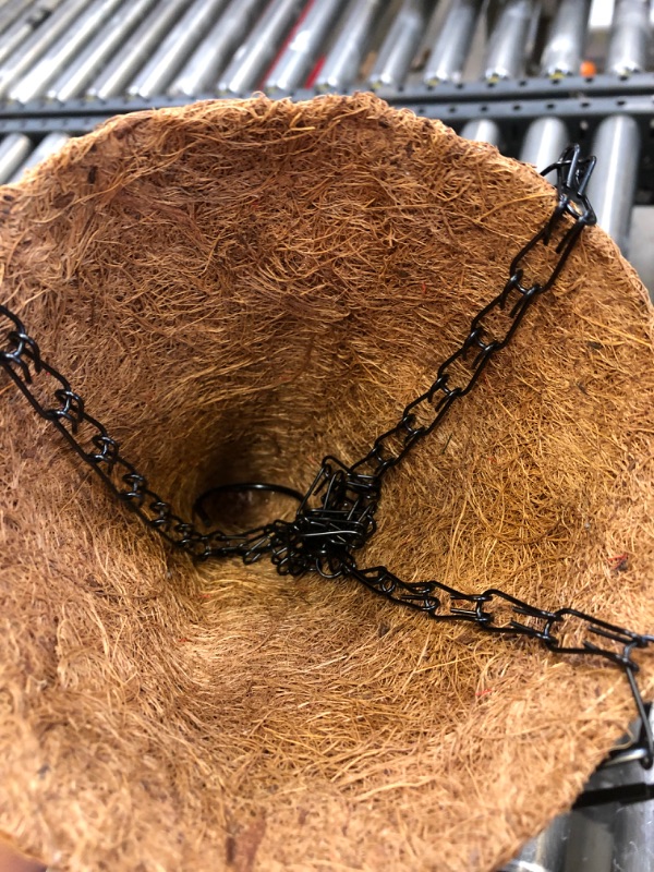 Photo 1 of 10” Hanging Cone