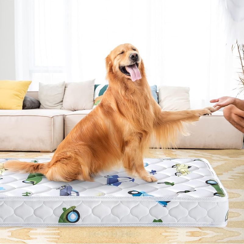 Photo 1 of 5" Thick Premium Foam Dog Bed, XX-Large Pet Bed for Dogs, Sturdy and Not Easily Dented,Protect The Spine of The Pet, Non-Toxic Material 50" X 28" X 5" Dog Bed
