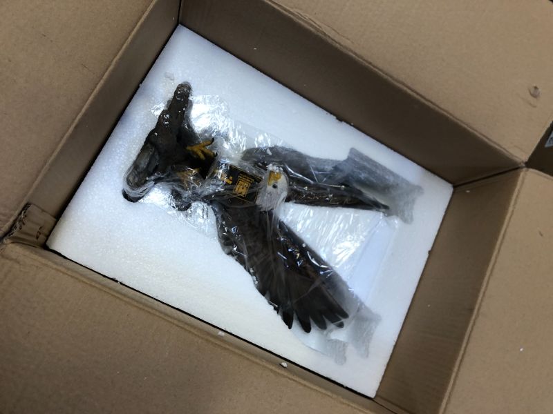 Photo 2 of HiLine Gift Ltd. Flying Eagle Statue, 3.52 lb. 11.42" * 8.66" * 11.94"